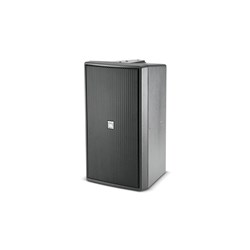 JBL Control 29AV-1 - Premium Indoor / Outdoor Monitor Speaker  Black